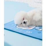 可愛い柄 接触冷感ペットマット【SS】 | aimoha  | 詳細画像11 