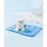 ブルー1 | 可愛い柄 接触冷感ペットマット【SS】 | aimoha 