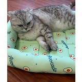 接触冷感 ペットマット【SS】 | aimoha | 詳細画像14