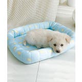 ブルー | 接触冷感 ペットマット【SS】 | aimoha