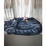 aimohahome お眠り猫 ラグ | aimoha  | 詳細画像2 
