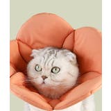オレンジ | ペット用フェイスガードフラワー | aimoha