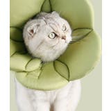 グリーン | ペット用フェイスガードフラワー | aimoha