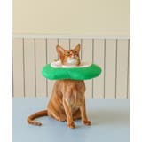 アップル型 ペット用エリザベスカラー ネコ 犬 猫 | aimoha | 詳細画像4