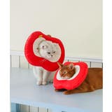 アップル型 ペット用エリザベスカラー ネコ 犬 猫 | aimoha | 詳細画像6