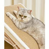 2WAY 爪研ぎ付き ペットハウス ネコ 猫 | aimoha | 詳細画像3