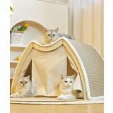 2WAY 爪研ぎ付き ペットハウス 猫 ネコ | aimoha | 詳細画像5