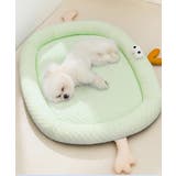 グリーン | クリクリした目付き 涼しいペットマット 犬 猫 ネコ | aimoha