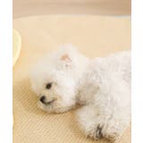 ひんやり 枕付きペットマット | aimoha | 詳細画像14