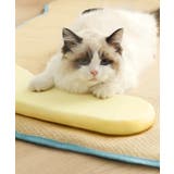 ひんやり 枕付きペットマット | aimoha | 詳細画像6