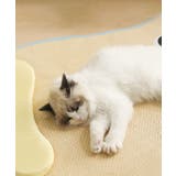 ひんやり 枕付きペットマット | aimoha | 詳細画像7