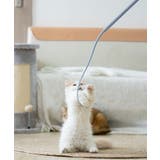 しなやか猫じゃらし | aimoha  | 詳細画像1 