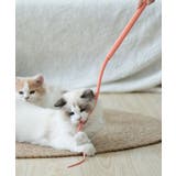 ピンク | しなやか猫じゃらし | aimoha 