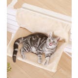 オフホワイト | ペット用掛けるベッド ペット 猫 | aimoha 