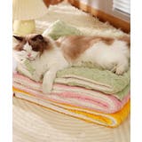 ポンポン付き ペット用ボアブランケット【AW】 | aimoha | 詳細画像15