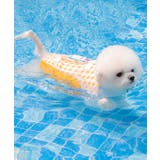 イエロー | 強浮力 犬用ライフベスト【SS】 | aimoha
