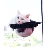 猫用ウィンドウベッド ペット キャット ドッグ 猫犬 ペッドベッド | aimoha | 詳細画像12