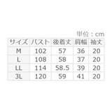 シフォンレイヤードVネックブラウス | alotta | 詳細画像17