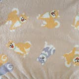 172(柴犬) | ひざ掛け | AmiAmi