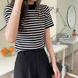 ボーダー半袖ニットソー レディース トップス春服 | Dewlily | 詳細画像4 