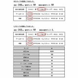 スパンブロードボリュームスリーブシャツ シャツ レディース | and it  | 詳細画像3 