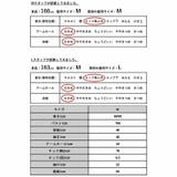 ストライプブロードボリュームスリーブシャツ シャツ レディース | and it  | 詳細画像3 