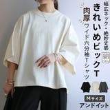 カットソー レディース ワイド6分袖Tシャツ | and it  | 詳細画像1 