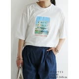 Tシャツ レディース 半袖 | and it  | 詳細画像6 