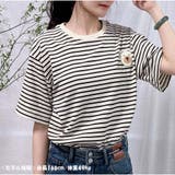 Tシャツ 半袖 レディーストップス ボーダー柄 韓国ファッション | And Kawaii | 詳細画像7 