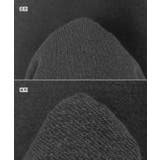 ANME ピクセル ロゴ | andme | 詳細画像15 