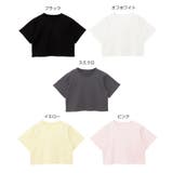 ショート丈 コットン 半袖 | andme | 詳細画像2