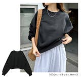 裏起毛 ショート丈 スウェット | andme | 詳細画像14 