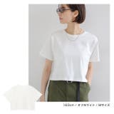 ショート丈 コットン 半袖 | andme | 詳細画像6 