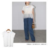 コットン天竺 フレンチスリーブ Tシャツ | andme | 詳細画像6 