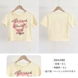ロゴt 韓国 tシャツ レディース 半袖 | ANGELCLOSET | 詳細画像3