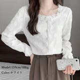 シャツブラウス レース切り替え 春秋 | SUNSHINE CLOSET | 詳細画像3 