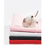 快適ショーツレディースレギュラーショーツ | SUNSHINE CLOSET | 詳細画像18 