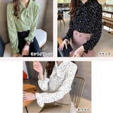 シフォン シャツブラウス レディース | SUNSHINE CLOSET | 詳細画像2