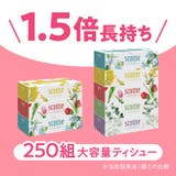 スコッティティシュー フラワーボックス 250組 3個パック | Shoplimart# | 詳細画像2