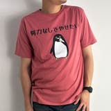 フェードピンク(E柄) | おもしろtシャツ メンズ 半袖Tシャツ | ARCADE