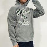 (D柄)グレー | パーカー メンズ プルパーカー | ARCADE