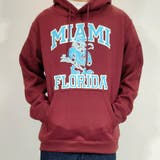 (D柄)ワイン | パーカー メンズ プルパーカー | ARCADE