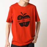 (C)バーンオレンジ | アメカジ 半袖 Tシャツ | ARCADE