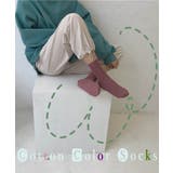 カラバリ豊富コットンソックス カラーソックス コットンソックス | ARGO TOKYO | 詳細画像1 