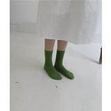 カラバリ豊富コットンソックス カラーソックス コットンソックス | ARGO TOKYO | 詳細画像17 