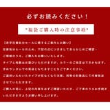 立体カラーマスク 100枚入り 不織布マスク | Aleh Te’enah | 詳細画像17 