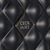 CECIL McBEE セシルマクビー キャリーケース Lサイズ | ASTUTE  | 詳細画像7 
