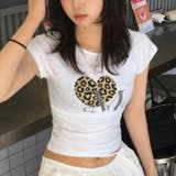 MUCENT(ムセント) SIERRA LEOPARD | Outfitter lab | 詳細画像15