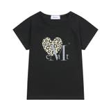 ブラック | MUCENT(ムセント) SIERRA LEOPARD | Outfitter lab