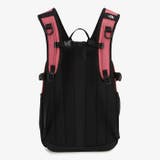 THE NORTH FACE(ザ・ノースフェイス)/MINI SHOT | Outfitter lab | 詳細画像12